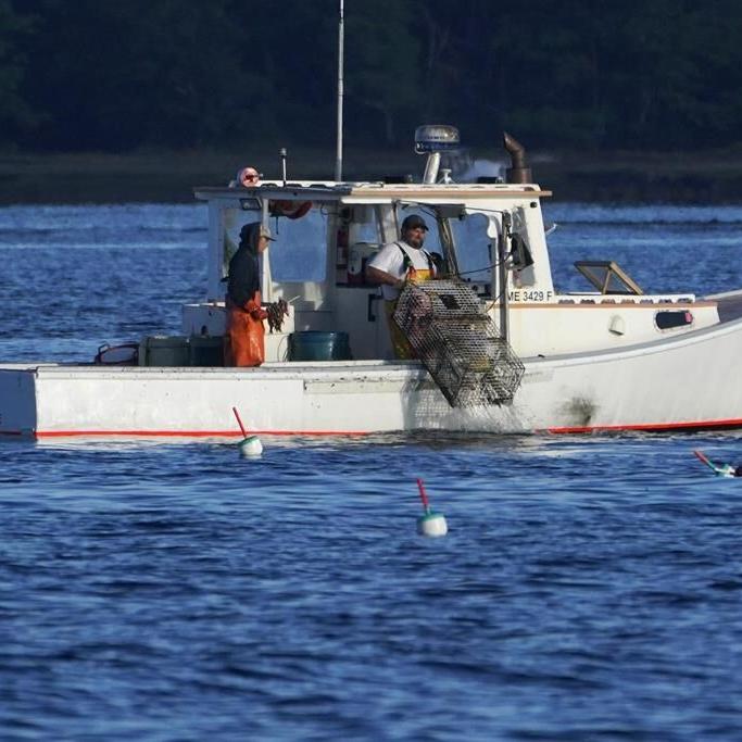 Lawsuit over California group's do-not-eat listing for American lobster dismissed